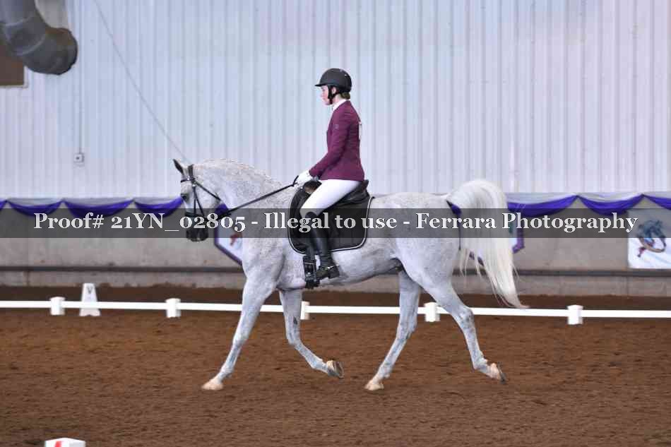 Proof Number 21YN_02805