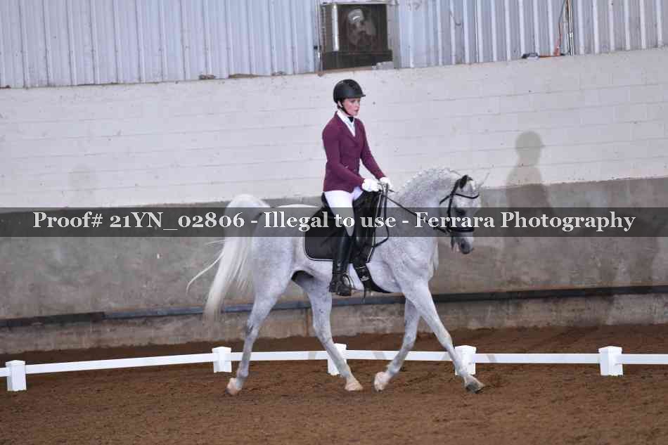Proof Number 21YN_02806