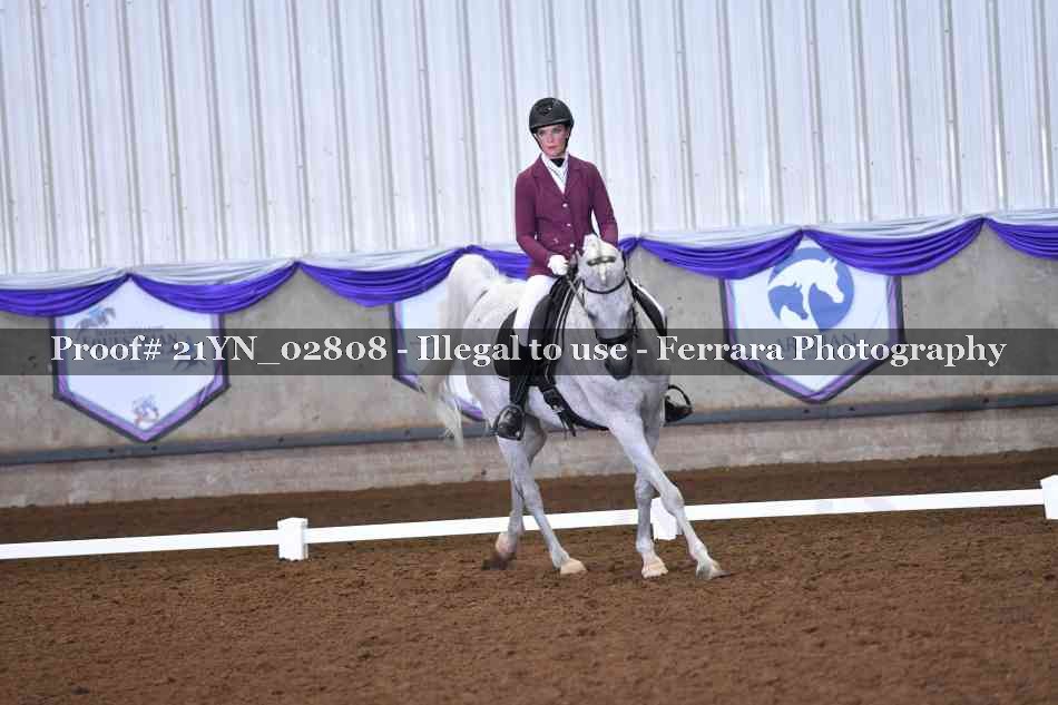 Proof Number 21YN_02808