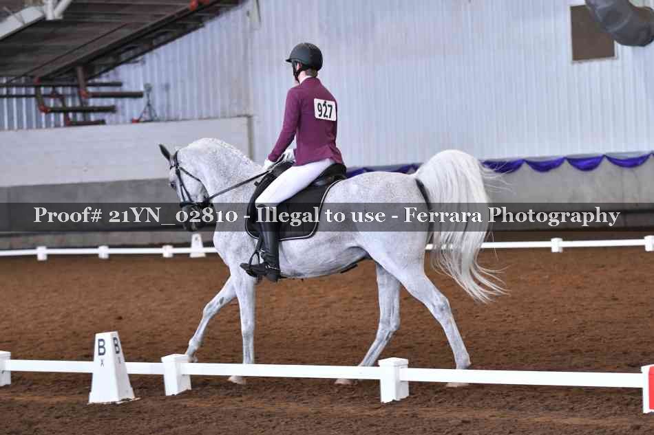 Proof Number 21YN_02810