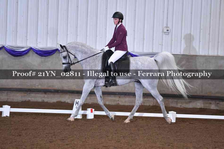 Proof Number 21YN_02811