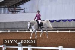 21YN_02821 thumbnail