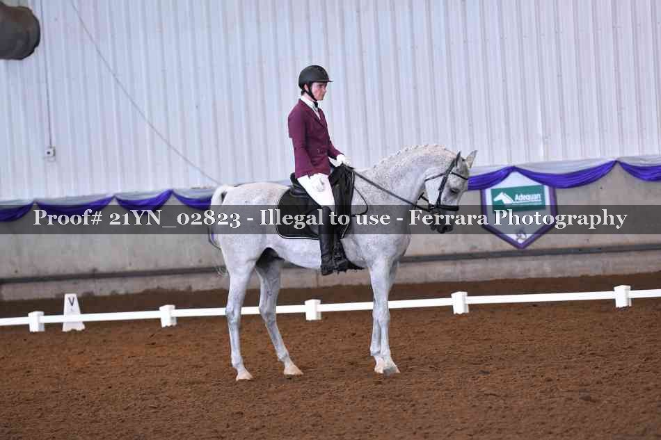 Proof Number 21YN_02823
