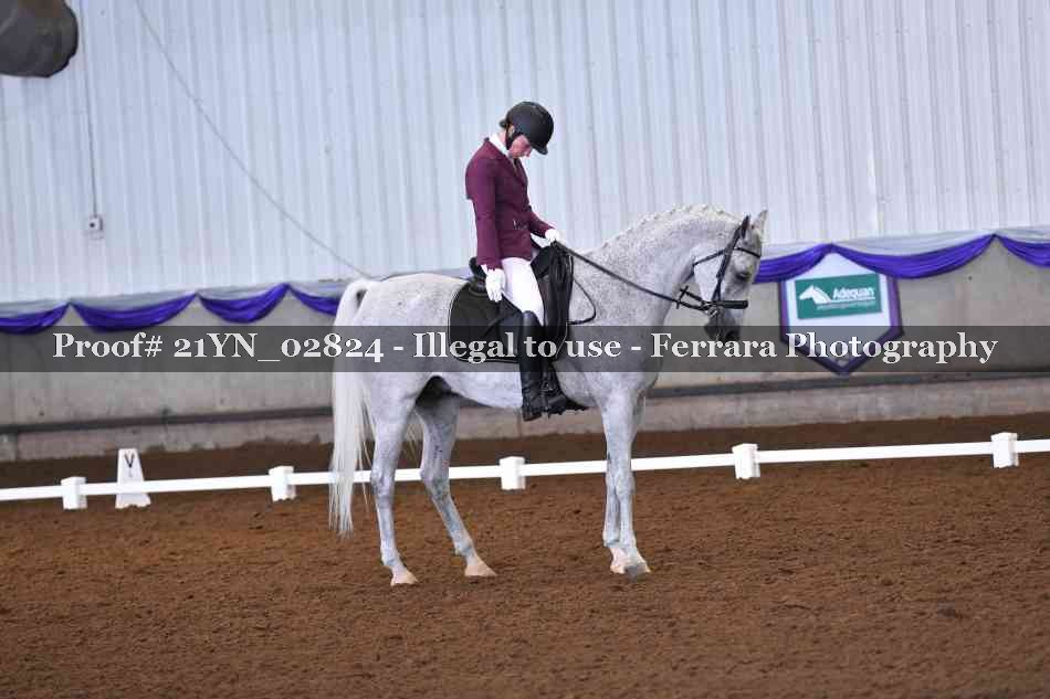 Proof Number 21YN_02824