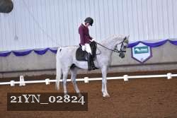 21YN_02824 thumbnail
