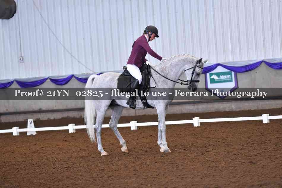 Proof Number 21YN_02825