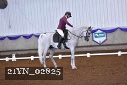 21YN_02825 thumbnail