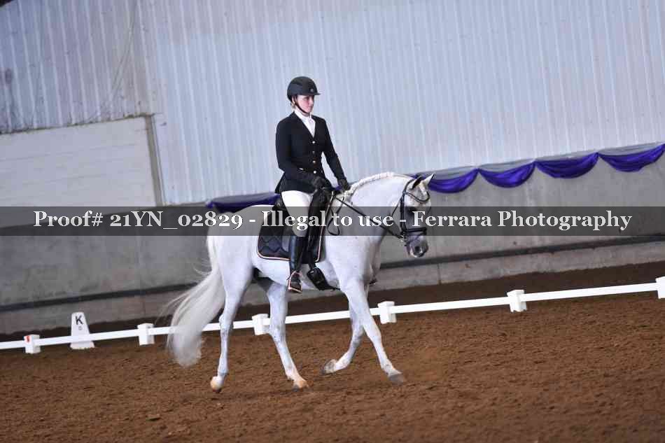 Proof Number 21YN_02829