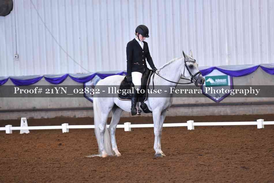 Proof Number 21YN_02832