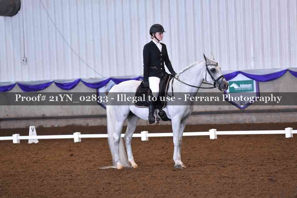 Proof Number 21YN_02833