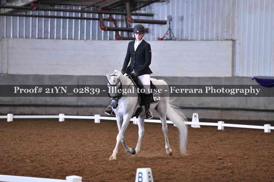 Proof Number 21YN_02839