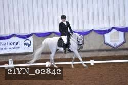 21YN_02842 thumbnail