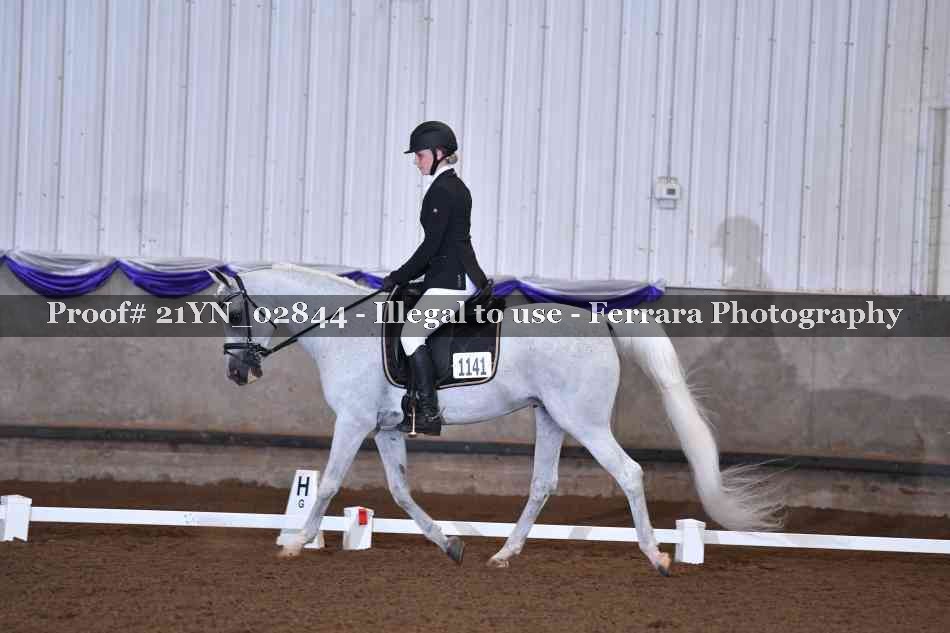Proof Number 21YN_02844