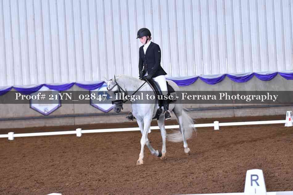 Proof Number 21YN_02847