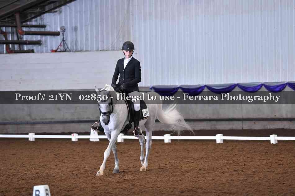 Proof Number 21YN_02850