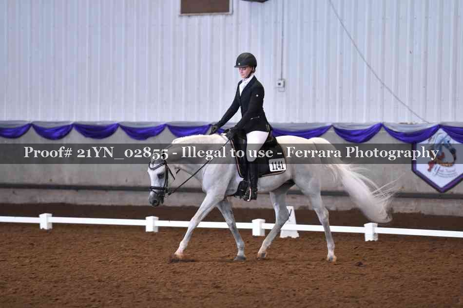 Proof Number 21YN_02855