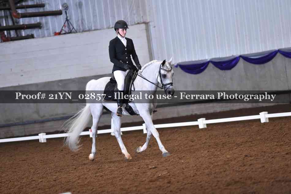 Proof Number 21YN_02857