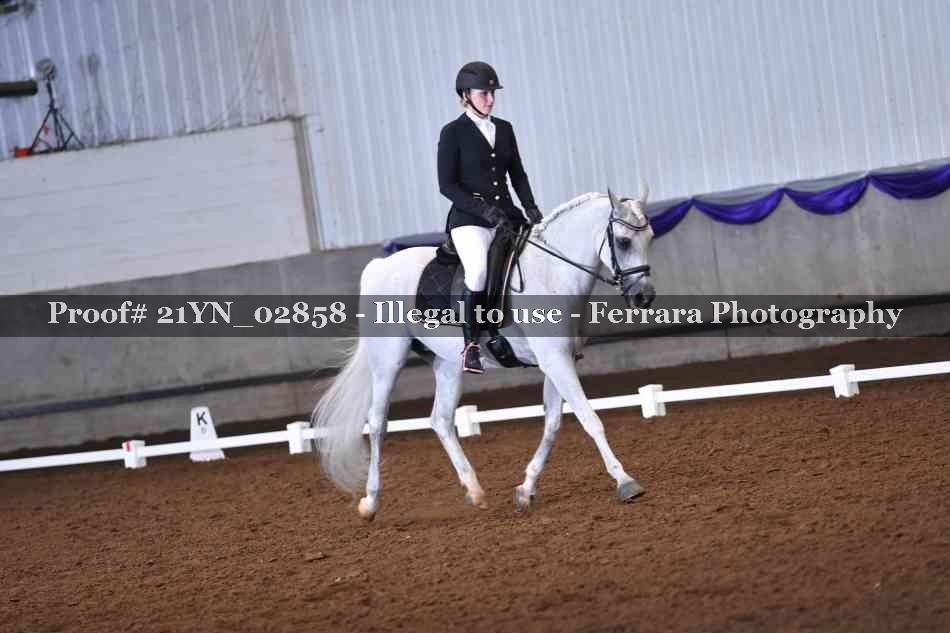 Proof Number 21YN_02858