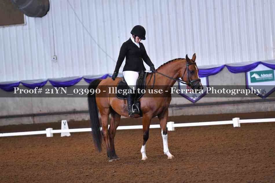 Proof Number 21YN_03990