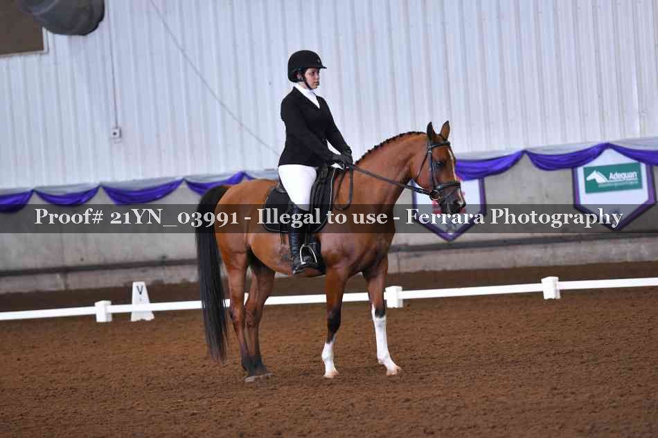 Proof Number 21YN_03991
