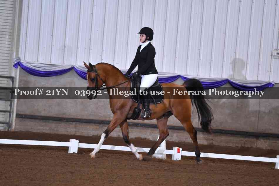 Proof Number 21YN_03992