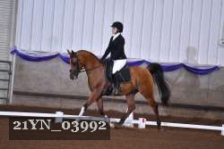 21YN_03992 thumbnail
