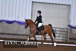 21YN_03993 thumbnail