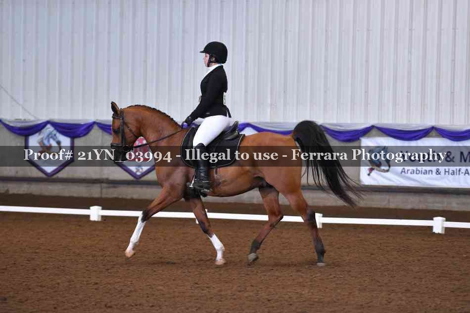 Proof Number 21YN_03994