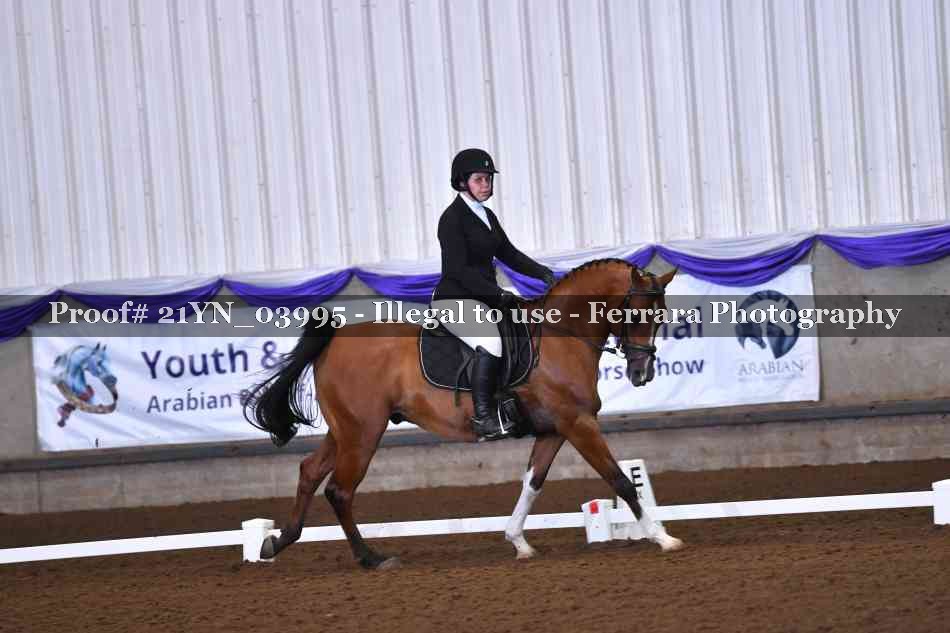 Proof Number 21YN_03995