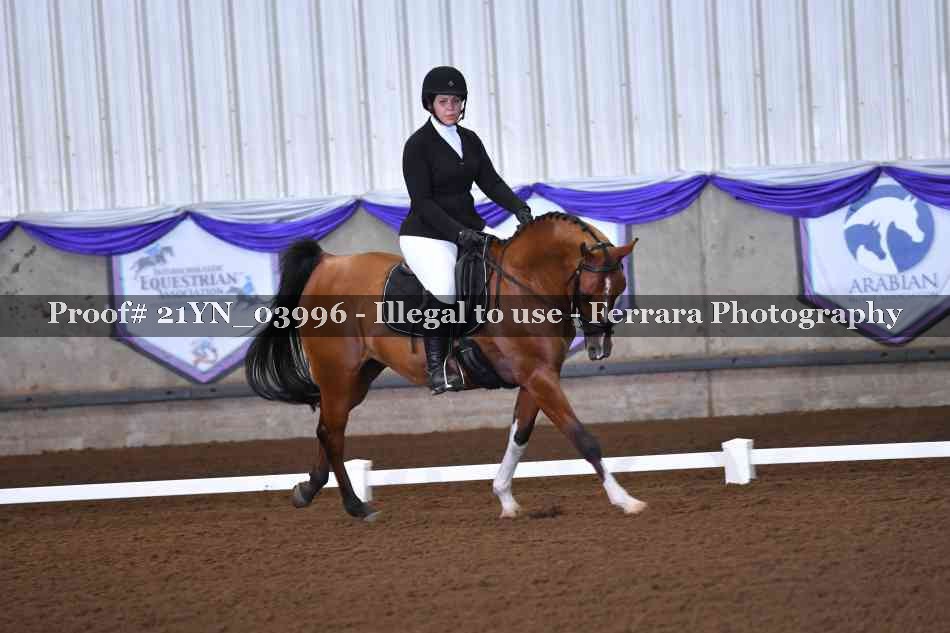 Proof Number 21YN_03996