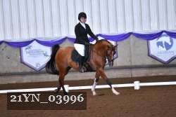 21YN_03996 thumbnail