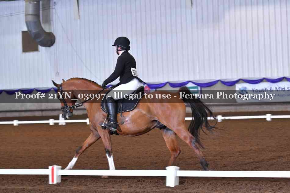 Proof Number 21YN_03997