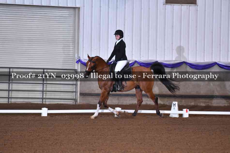Proof Number 21YN_03998