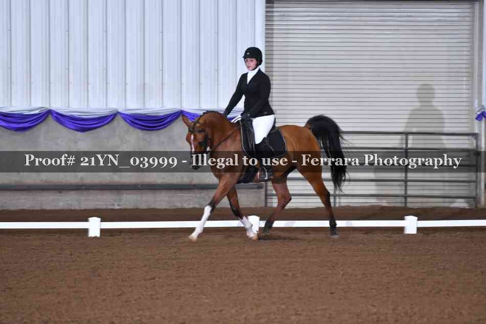 Proof Number 21YN_03999