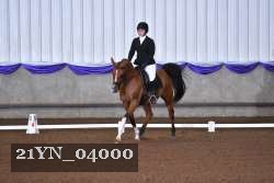 21YN_04000 thumbnail