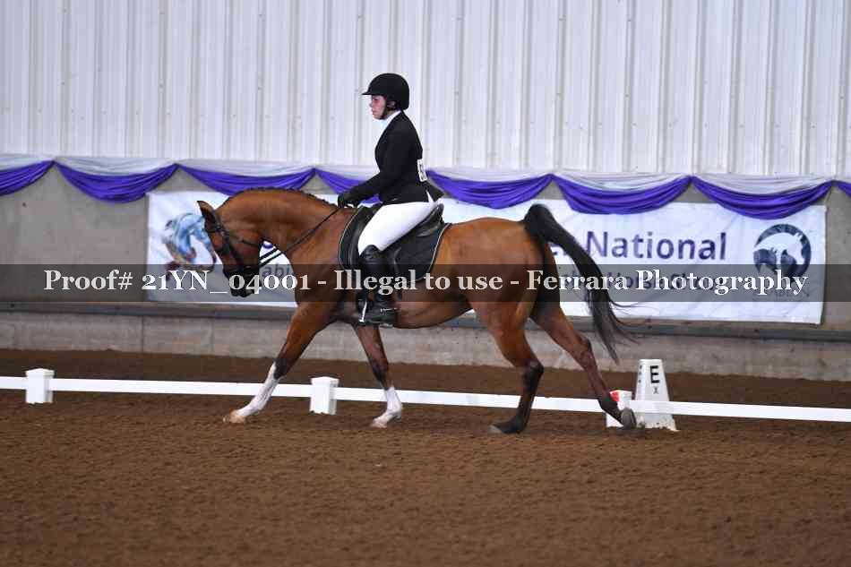 Proof Number 21YN_04001
