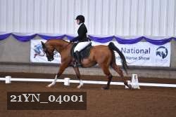 21YN_04001 thumbnail