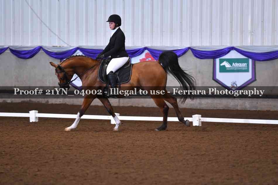 Proof Number 21YN_04002