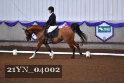 21YN_04002 thumbnail
