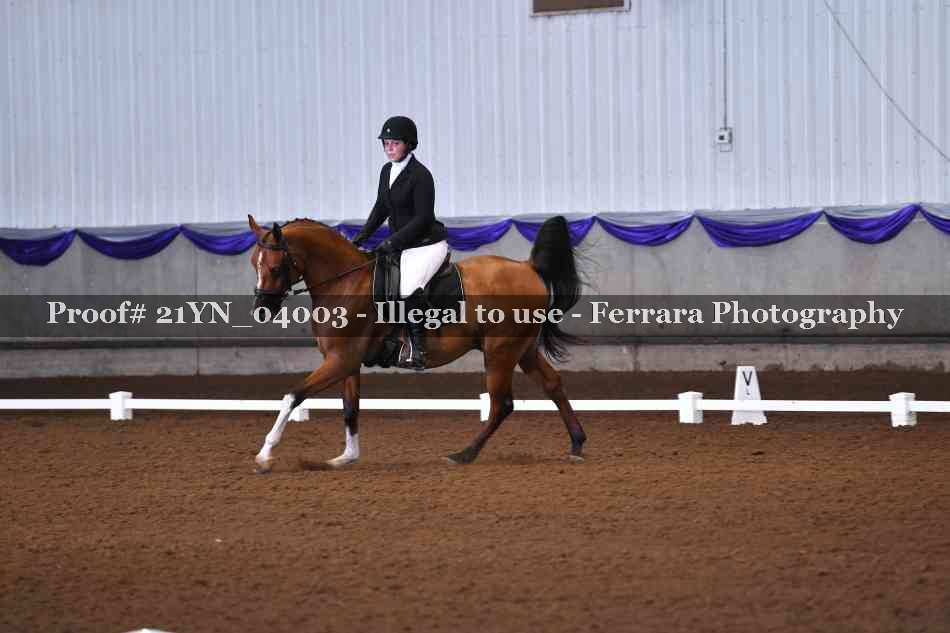 Proof Number 21YN_04003