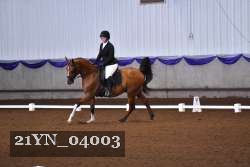 21YN_04003 thumbnail