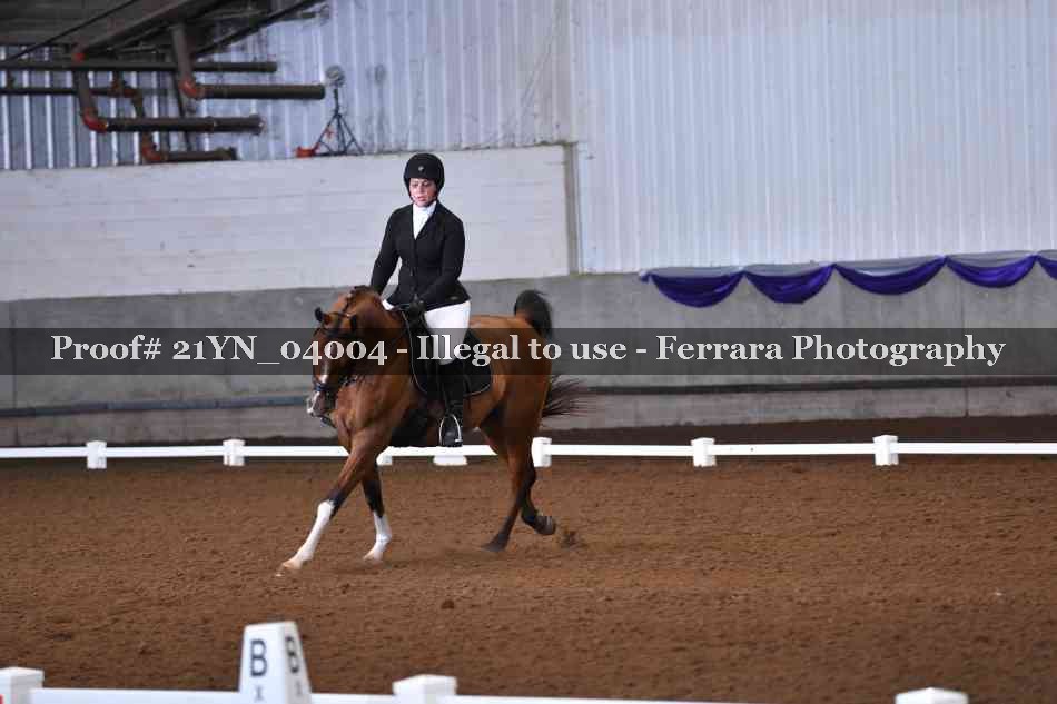 Proof Number 21YN_04004