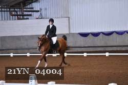 21YN_04004 thumbnail
