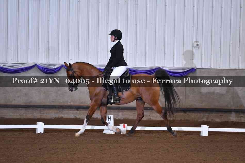 Proof Number 21YN_04005