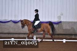 21YN_04005 thumbnail