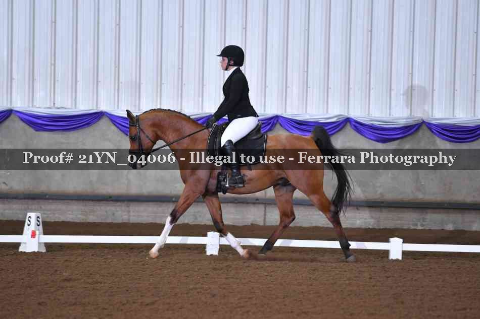 Proof Number 21YN_04006