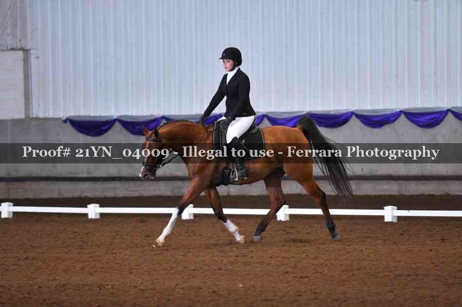 Proof Number 21YN_04009