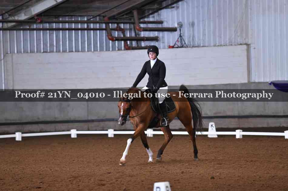 Proof Number 21YN_04010