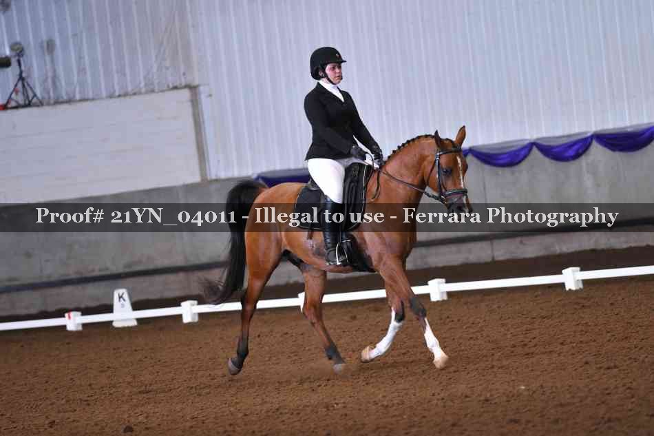 Proof Number 21YN_04011