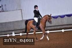 21YN_04011 thumbnail